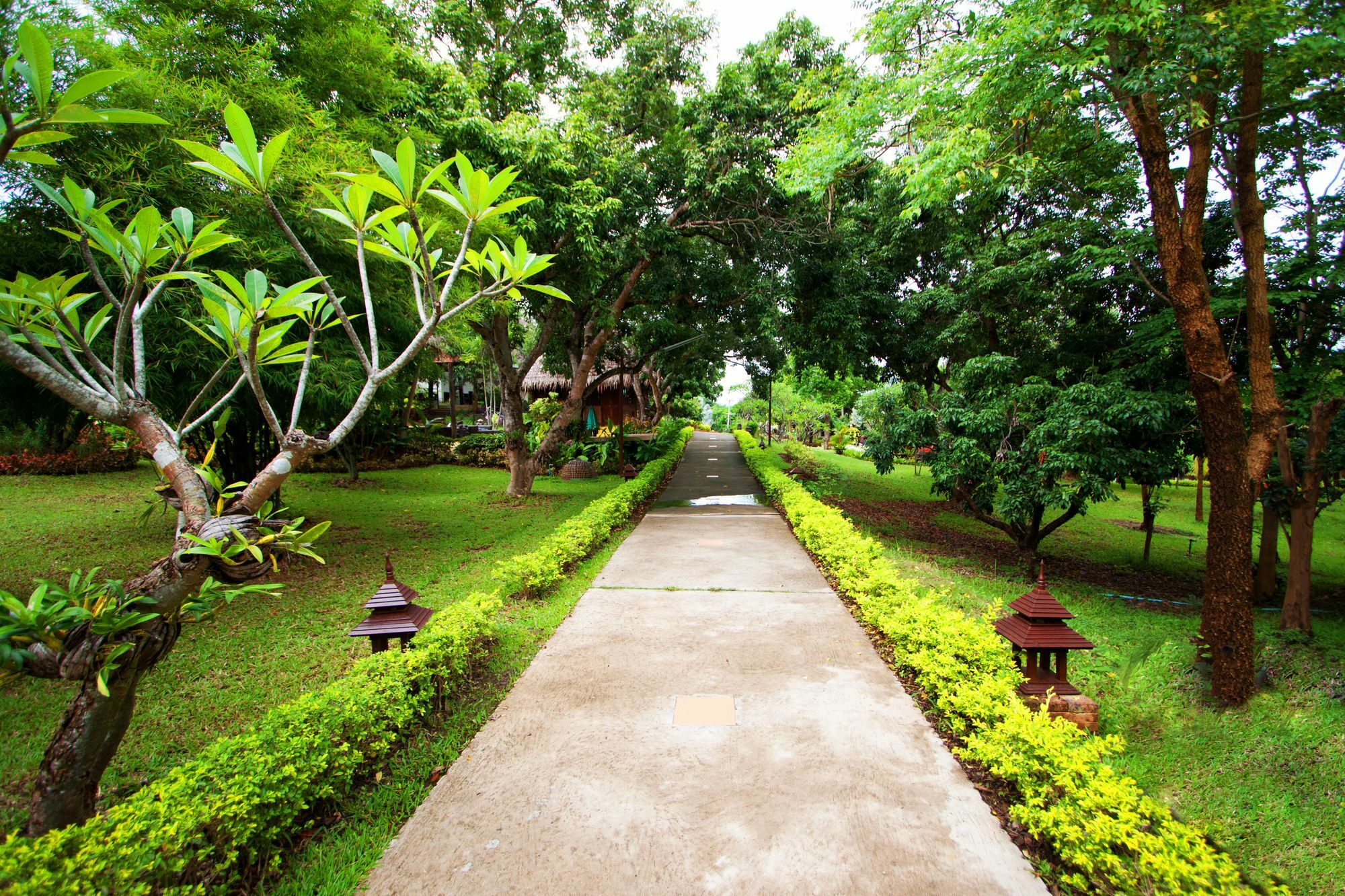 Touch Star Resort - Doi Inthanon Chom Thong Exteriér fotografie